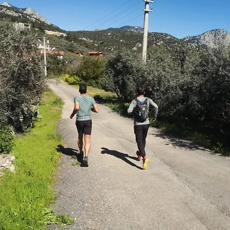 Seron Mountain House