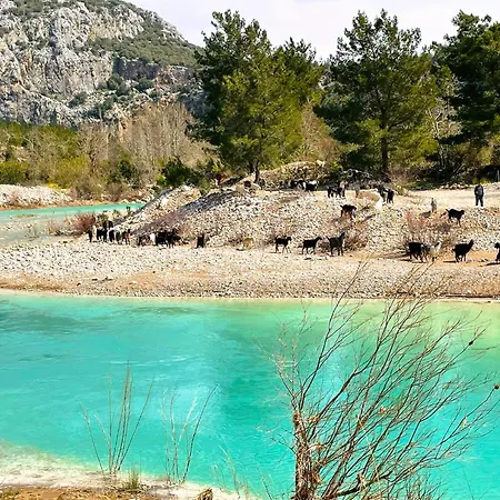 Seron Mountain House Geyikbayiri